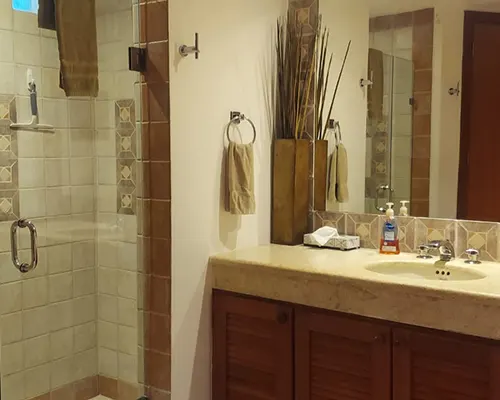 Bathroom with Walk-In Shower & Mirrored Vanity