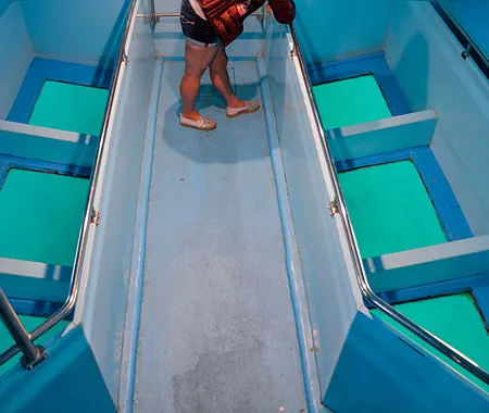 Glass Bottom Boat Tours