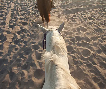 Horseback Riding Near Playa San Francisco 