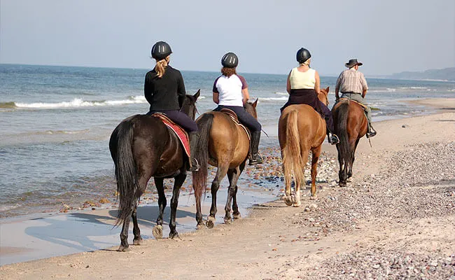 Cozumel Beach Horseback Riding