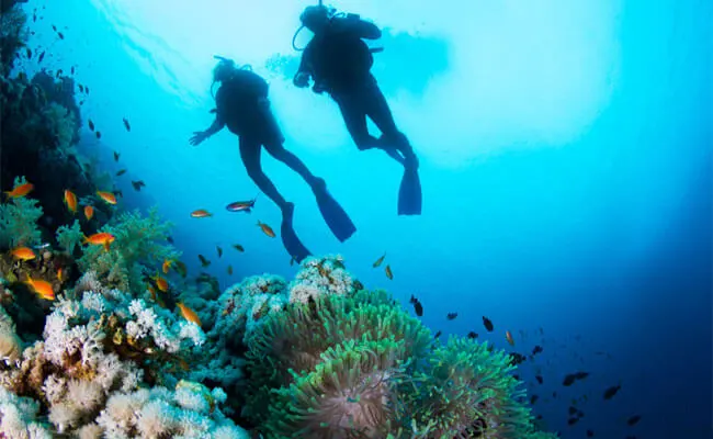 World-Class Scuba Diving in Cozumel